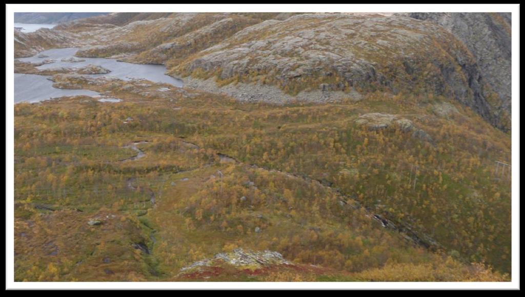 Nedbørfeltene til Sørdalselva kraftverk er delfelt av nedbørfeltet til Strømdalen målestasjon, og utgjør ca. 1/3 av hele arealet på 22,5 km 2.