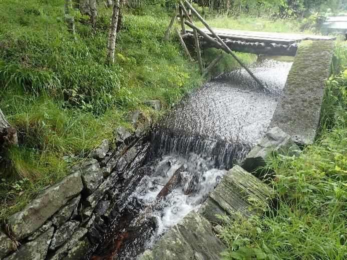 Innløpet til Storevatnet Bekken fra Litlevatnet kommer ut gjennom et rør 25 meter oppstrøms Storevatnet (figur 5).