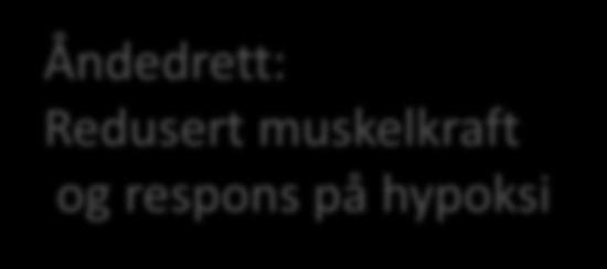 redusert funksjon Nyre: