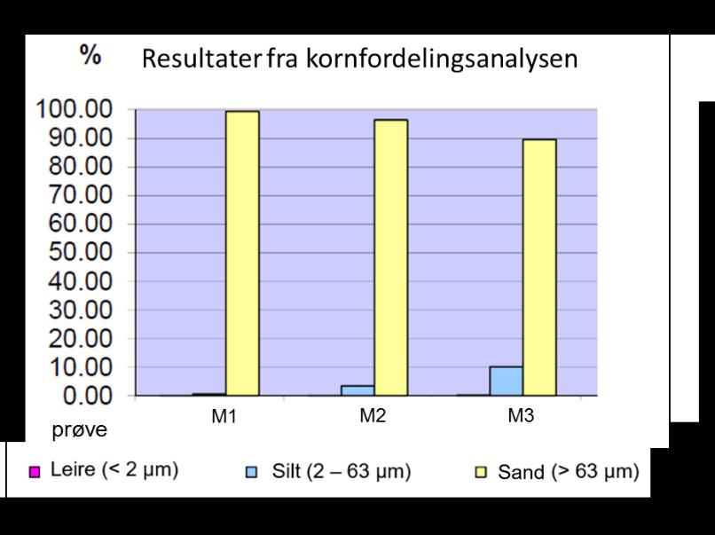 konsentrasjoner av miljøgifter er over grenseverdi i alle prøvene. Kobber er målt i tilstandsklasse 5 i prøve M1. PCB er påvist i alle prøvene, i tilstandsklasse 3 (M1 og M2) og 4 (M3).