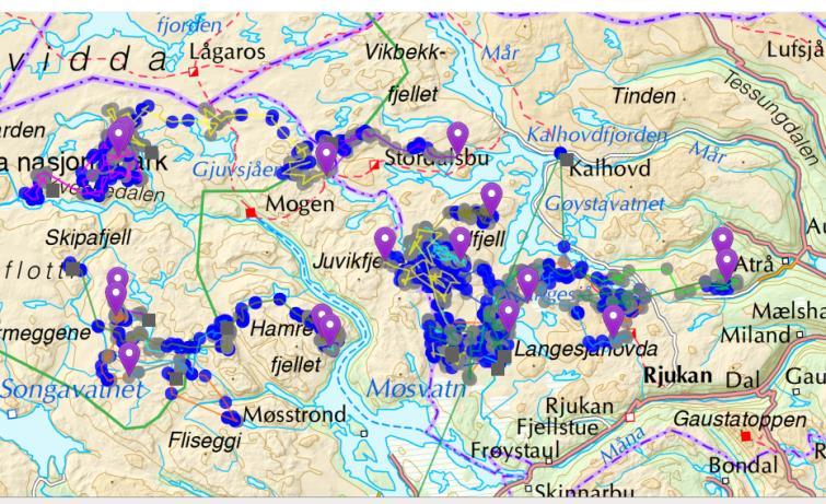 Perioden 21. - 30. september Hele jakta. Søndre område I uka før jaktstart var det flokker i Hordaland, Buskerud og Telemark, med relativt stor bevegelse på en del av flokkene.