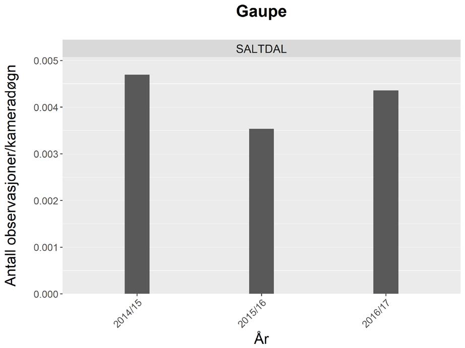 Figur 4. Antall observasjoner av gaupe per kameradøgn i 3 sesonger (juni-mai) fra 2014 til 2017. Et av målene med dette studiet har vært å evaluere overvåkingen av gaupe.