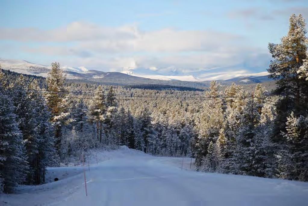 nasjonalparkstyret skal brukes, men det er aktuelt at Snøhetta Villreinutvalg overtar denne til informasjon om villrein.