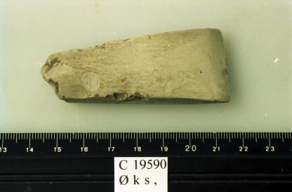 19590. 143. En liden tyknakket flintøks, næsten helt sleben, skraasleben og lidt hulsleben i eggen paa den ene side. Banen lidt beskadiget. Længde 7 cm., bredde 2-2,9 cm., tykkelse indtil 1,3 cm.