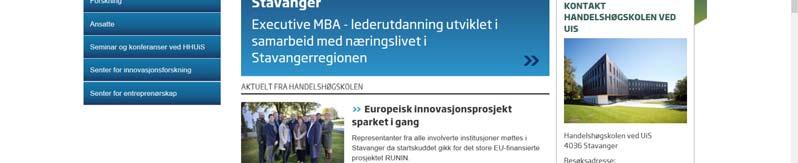 Strategi og ledelse Innovasjon Regnskap og revisjon