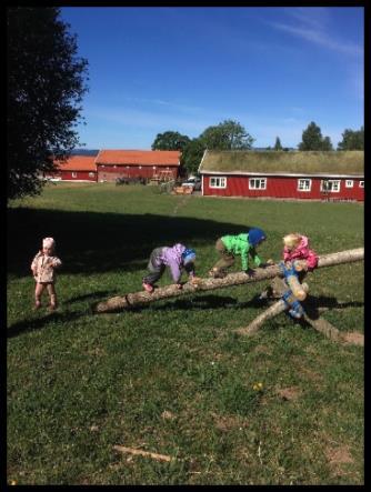 Progresjon Ulike barn har egne forutsetninger og barna skal følge sin egen utviklingskurve.