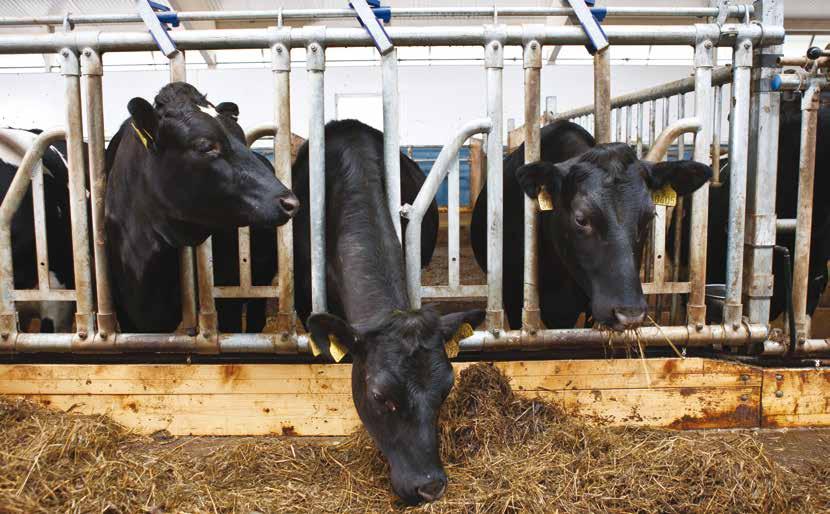 DeLaval fôrfronter HL10- og HL50-familien - fleksibel løsning ved fôrbrettet DeLaval fôrfront HL10 DeLaval fôrfront HL10 er en fangfront som har funksjonen med låsemekanisme som utgangspunkt.