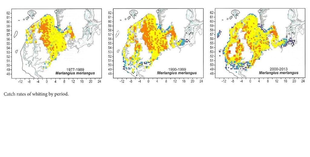 Whiting: first abundance increased and distribution expanded eastwards Thereafter abundance decreased and