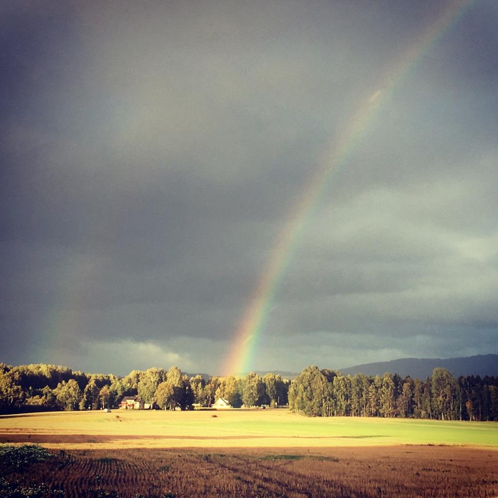 KOMMUNALE GEBYRER FOR BYGGESAK, PLAN OG OPPMÅLING 2019