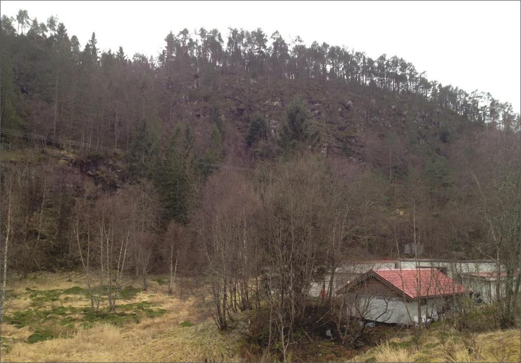 Figur 11: Området der det skal byggjast tomannsbustadar består av eit flatt jorde. Sør for området er det ei skråning med fleire bratte fjellhamrar. Skråninga er dekt av skog.