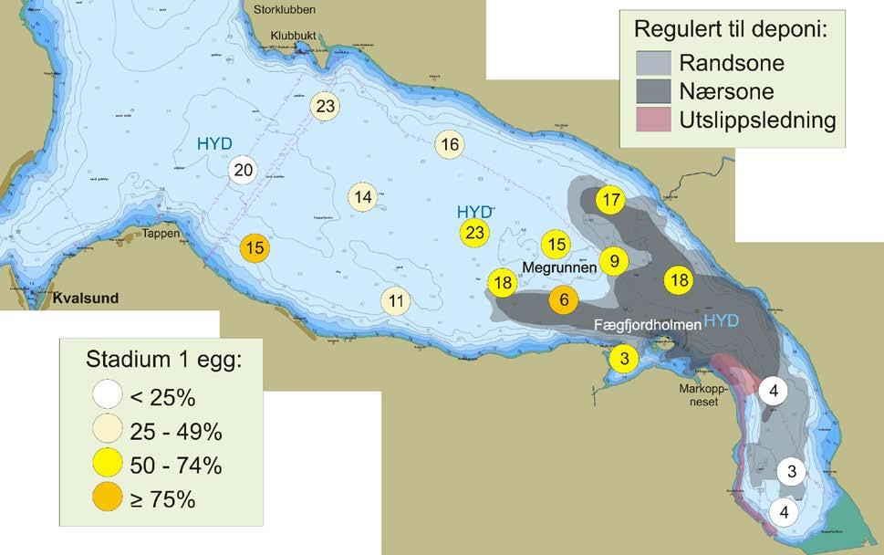 11 Figur 9. Repparfjorden 2015. Eggdata fra to tokt i april. Tall i sirkler angir gjennomsnittlig antall egg pr.