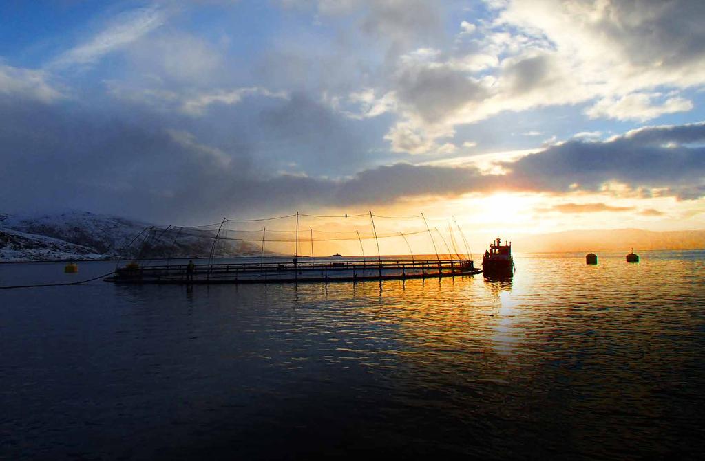 24 25 PASSION FOR SALMON SalMar er i dag en av de fremste lakseprodusentene i verden og selskapets vekst har hele tiden vært fulgt av fremragende økonomiske resultater.