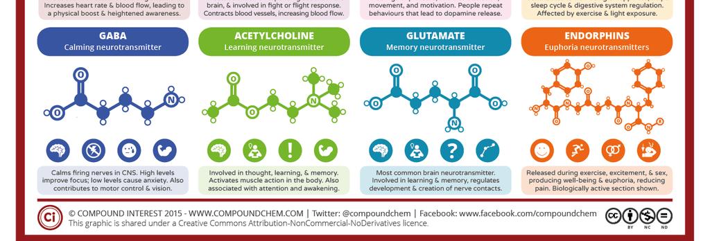 Biogeneaminer Epinephrine Norepinephrine