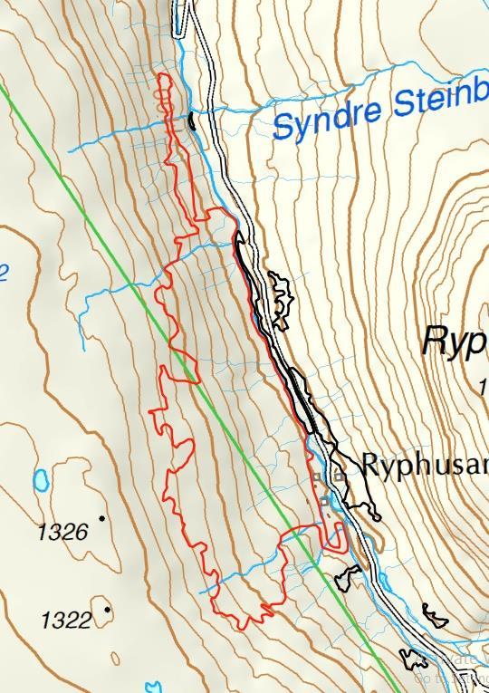 Figur 2. Naturbeitemarka i Ryphuslia (lokalitet 2 hos Jordal 2016) er avgrenset med rød strek.