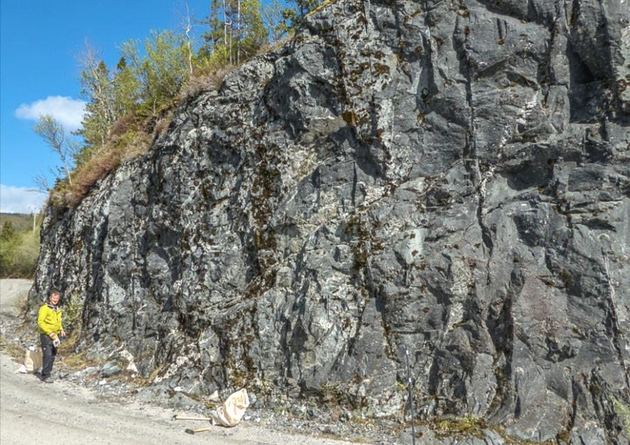 Denne bergarten har på tross av sitt grovkornete utseende en reell kornstørrelse på under 3 mm, ettersom den under deformasjonen (metamorfose) rekrystalliserte til en ny mineralogi, primært bestående