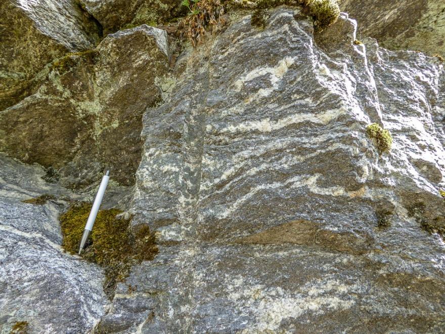 Figur 7. Dioritisk biotitt gneis med foldede kvarts-feldspat bånd. 4.5 Buengskardet - 1751.511 Ved Buengskardet er en grå amfibolittisk utseende bergart blottet (Figur 8).