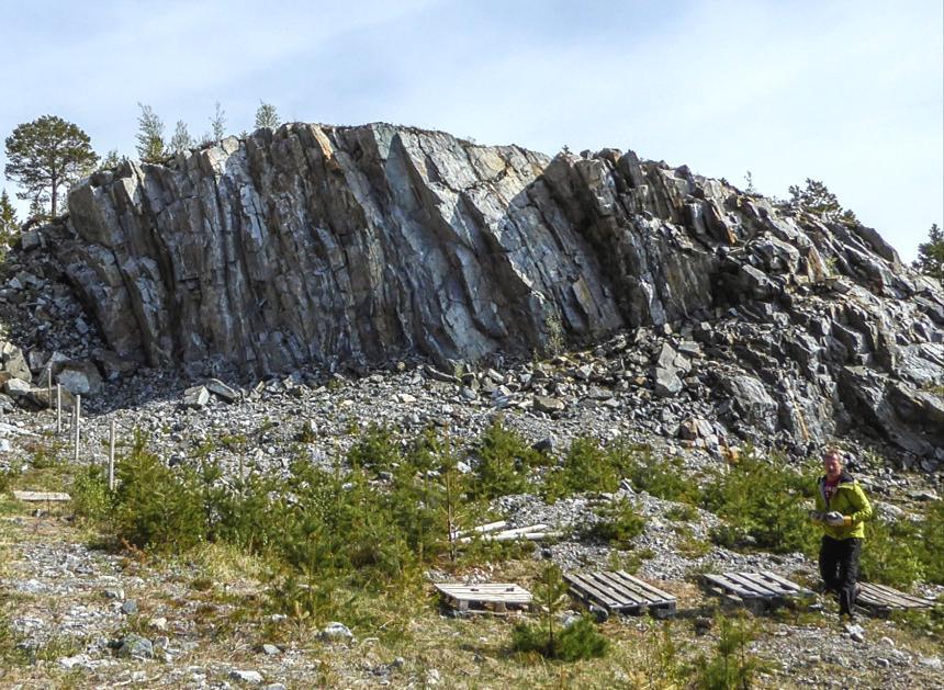 4.6 Løvika - 1751.512 Ved Løvika tett på sjøen finnes en steilstående, båndet gneis som lokalt er utviklet til migmatitt.