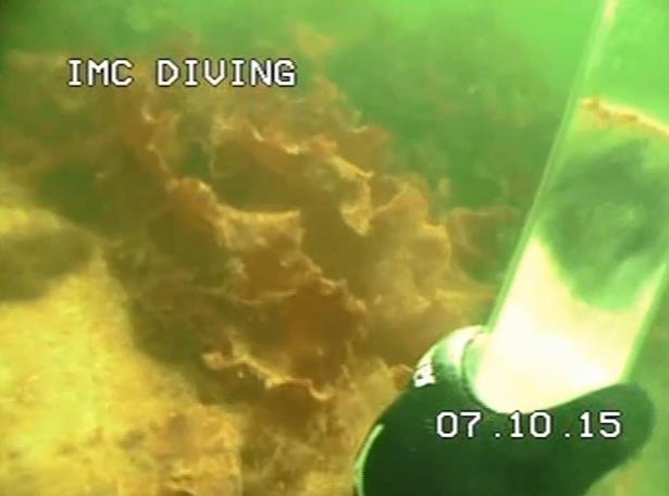 Foto og nærmere beskrivelse av sedimentkjernene er gitt i vedlegg 1. Figur 14 Felt 4. Bilder fra video, IMC Diving 3.1.5 Felt 5 Ikke tildekket Felt 5 ligger nordvest for Kirkebukten og er ikke tildekket.