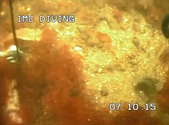 KIRKEBUKTEN - MILJØOVERVÅKING 2015 Figur 15 Felt 5. Bilder fra video, IMC Diving 3.1.6 Analyseresultater sedimentkjerner Sjøbunnen i de ulike feltene er undersøkt for innhold av miljøgifter og organisk materiale i ulike dybdenivå i profilet.