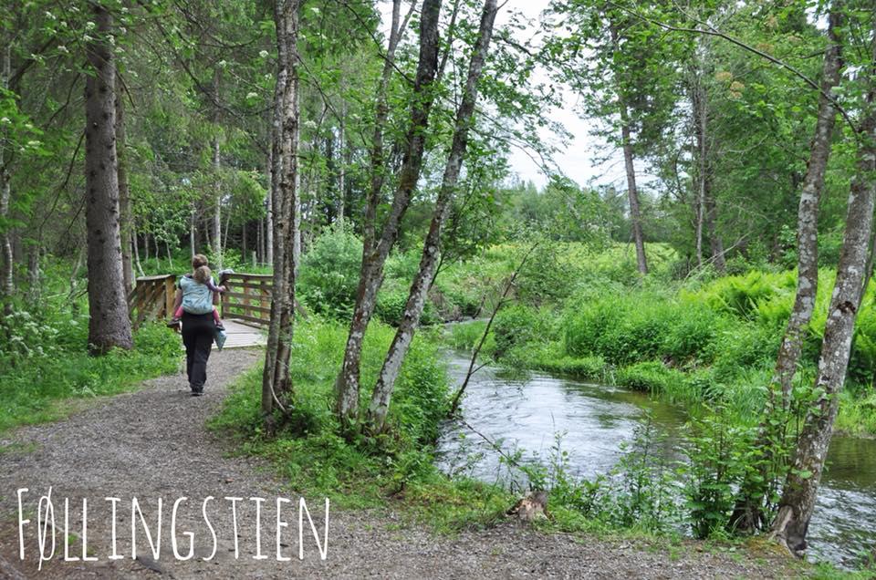 Sammen med Følling Idrettslag har vi laget en 3,5 km lang tursti langs elva. Føllingstien skal bli universelt utformet.