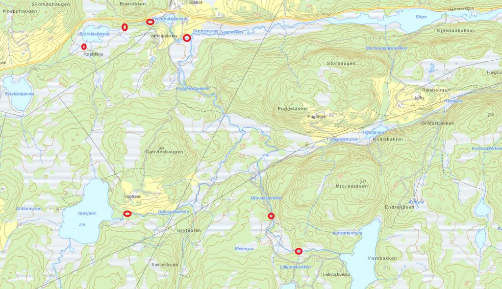 Side 5 av 11 En ny kartlegging av elvemusling av Ruud (2016) førte til funn av to nye lokaliteter i Gjøvassbekken, rett nedstrøms Gjøsjøen (bilde 4).