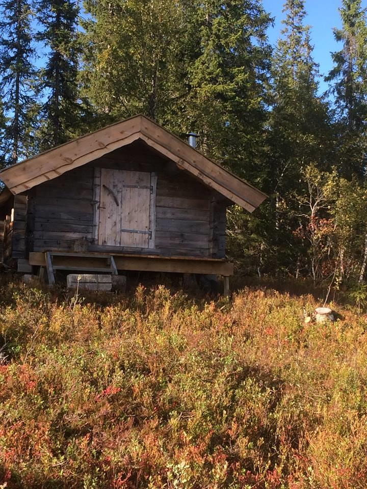 Post 6 - Ånvasskoja Vegbeskrivelse: Fra Tømmerdalen: Ta av Tømmerdalsveien i Tømmerdalen 3,5 km fra Tømra. Bomavgift - KONTANTER. Veien deler seg etter ca.