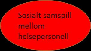 1. FORHOLD VED HELSEPERSONELLET 1.3.