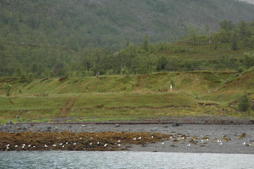 Landskap og inngrep, hovedfunn: Olderbukta og Birranvággi beskrives som inngrepsfritt i 2002 (med reintråkk, men kjørespor nevnes ikke) Traséen fra Olderbukta til Øvrevatnet og Storvatnet beskrives