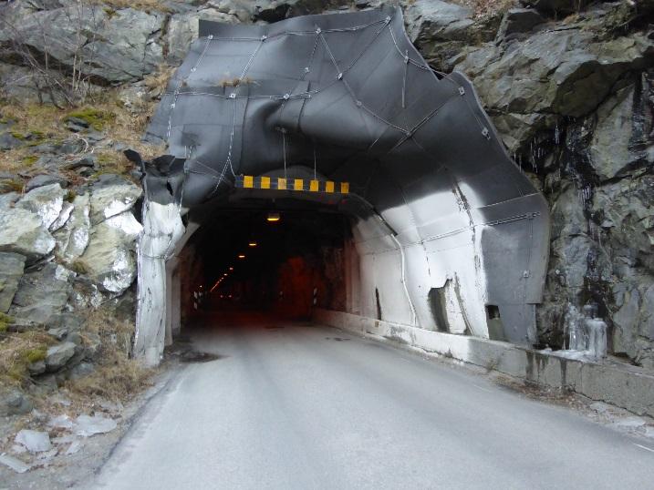 303 i Årdal kommune, og knyt Seimsdalen og Ofredalen saman med resten av kommunen. Vidare er fv. 303 ein blindveg.