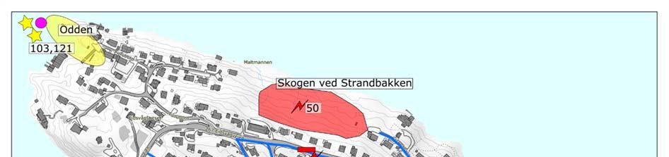 2.1 Registreringer Det er blitt utført et relativt høyt antall registreringer (121) og området hvor det ble gjort registeringer er stort.