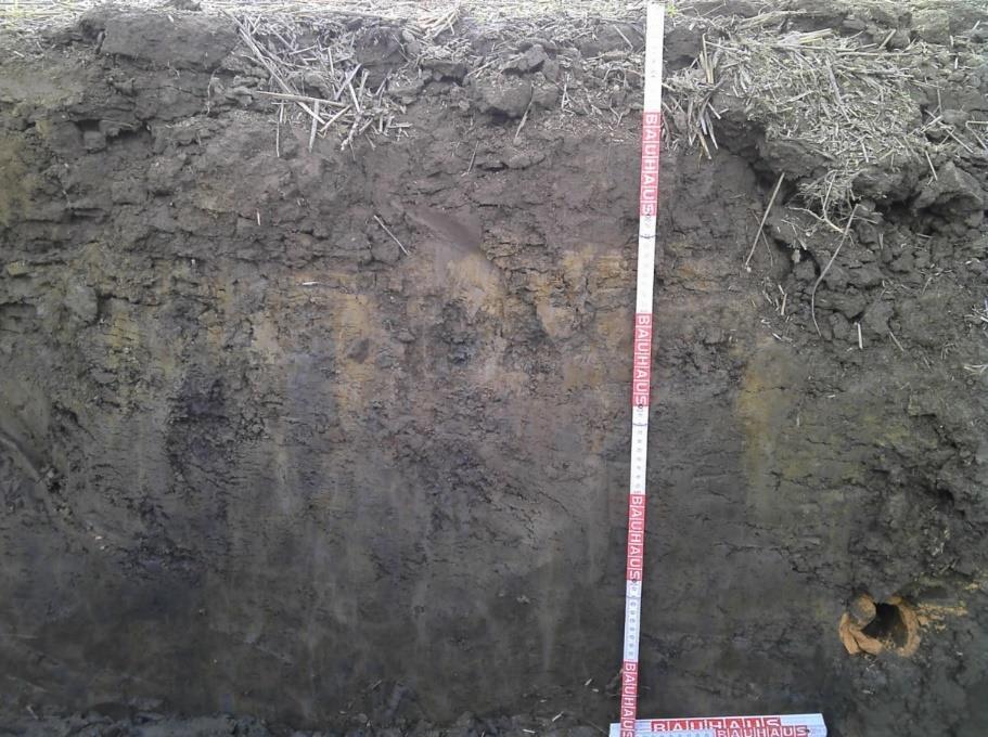 Forsøksfeltet Gley soil Dybde Horisont Sand Silt Leire Tekstur ph Ap 30 cm Sw 55 cm IISd cm Symbol - - - - - Gew.