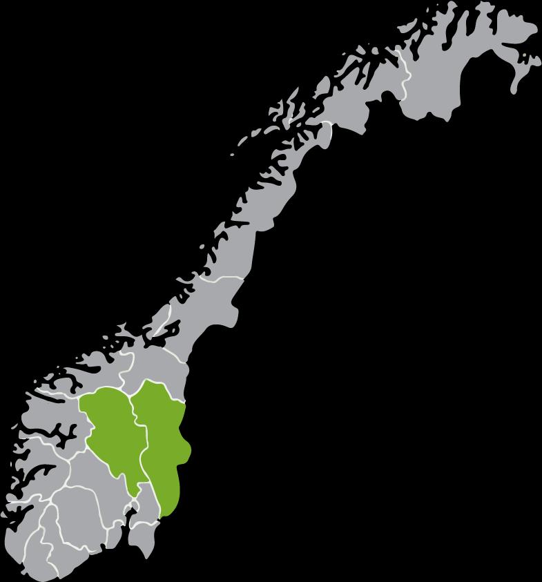 Innlandet 1.1.2020: Oppland og Hedmark blir Innlandet.