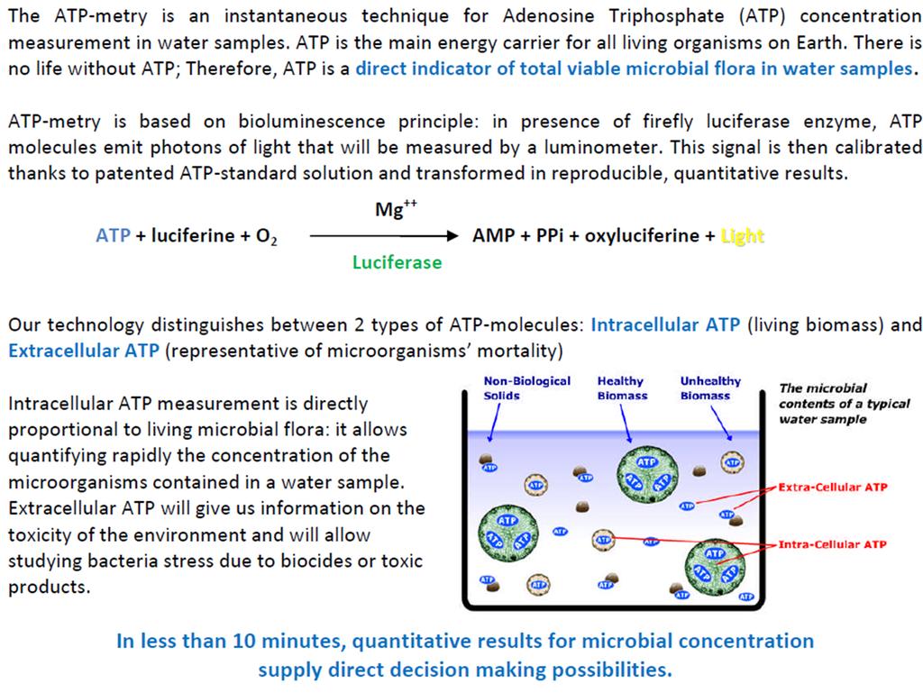 Diagnoseverktøy - ATP Adenosin- trifosfat (ATP): energibæreren i levende celler Total ATP = Intracellulær ATP + Extracellulær ATP Kimtall: < 1 % av