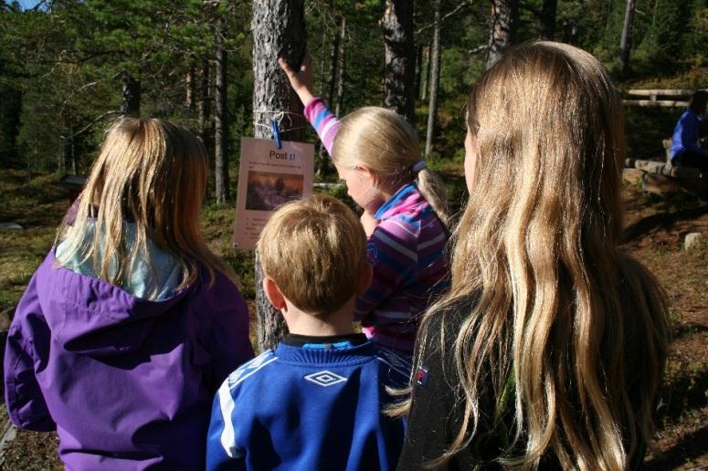 For noen ble det repetisjon, for andre var dette noe nytt. Men det er viktig å lære om sammenhengen i naturen for å forstå at om en klusser for mye med en del av den, kan det få følger for andre ting.