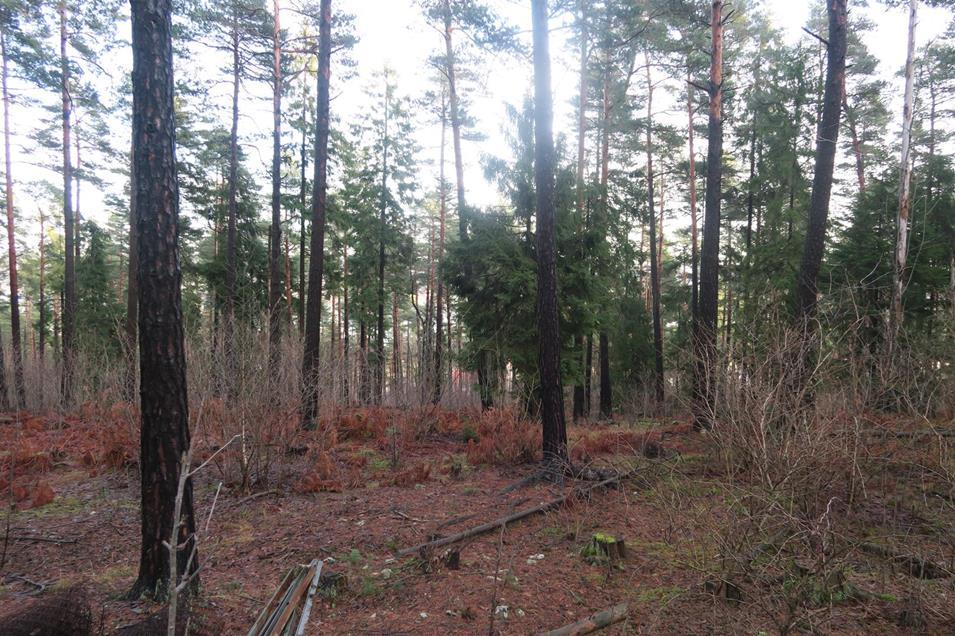 Figur 47 Lokaliteten NM_16 Ørvik SV Høydebasseng for brannvann til Kjørholttunnelen Planforslaget berører naturtypelokaliteten NM_17.