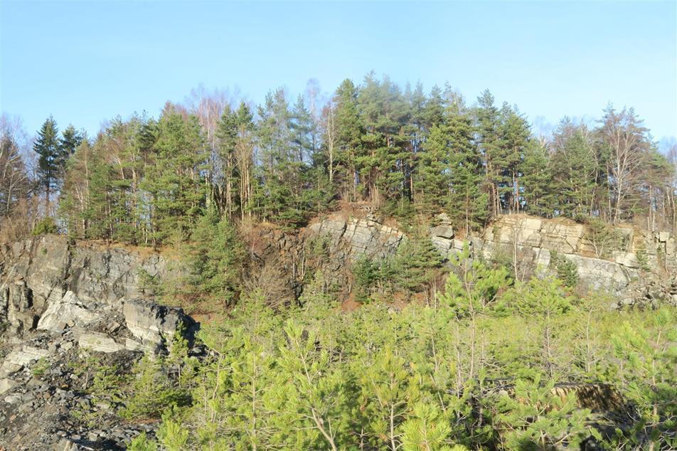 NM_14 Brentåsen NV Ny lokalitet Kalkedelløvskog (B). Kalkedelløvskog i mosaikk med kalkbarkskog innenfor gjerdene til Kjørholt kalkbrudd.