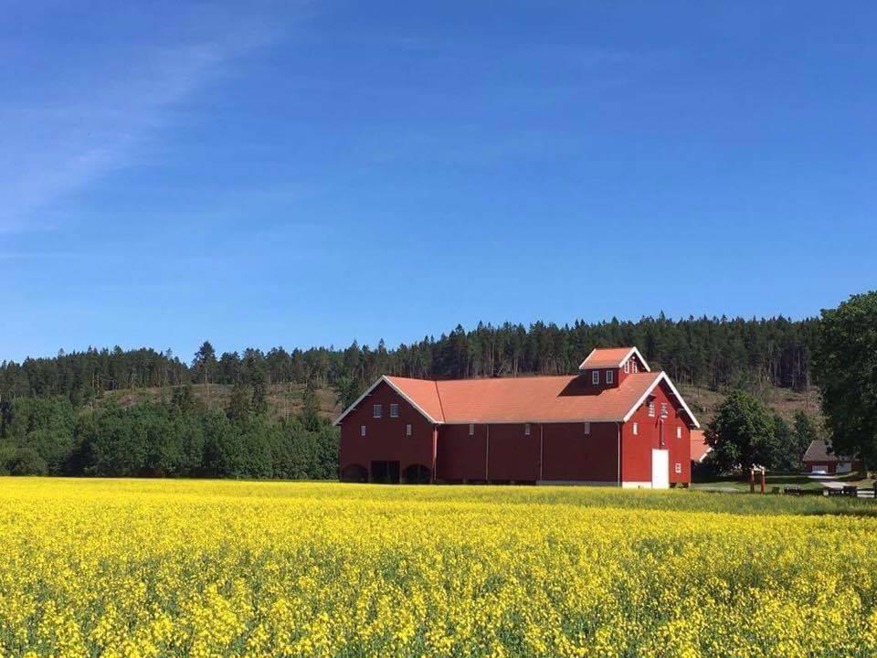 Takk for oppmerksomheten!