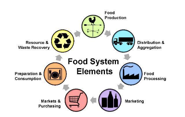 30/11/2018 6 Eksempel på et «wicked problem» - Et matsystem tilpasset Agenda 2030 Må gjøre det mulig for alle å dra nytte av tilstrekkelig, næringsrik og sunn mat og dermed bidra til global sosial