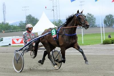 Han har hatt årets hest i laget flere ganger, blant andre Dehli Sokken og Dehlimina. Æresmedlem Normann Hansen har vært aktiv i mange tiår.