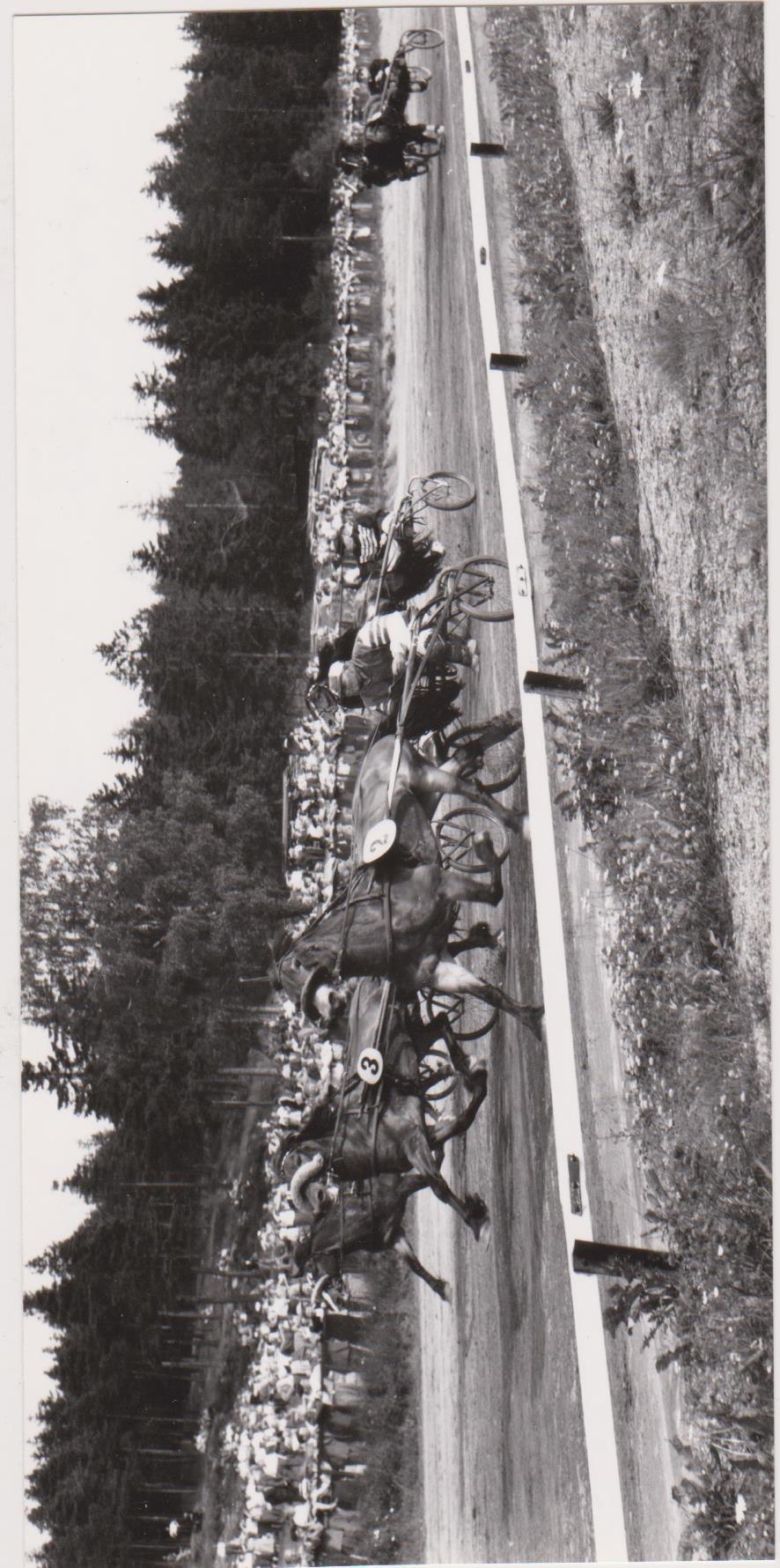 Sportslige profiler hester/trenere/eiere Lutz Axvall/Erling Løken vant Carl Norbecks minneløp på Bjerke i 1951. Det var det første store travtrofé som en Askim-hest vant. Darrin (f.