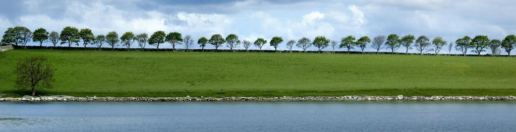 Gjennomføring Rennesøy kommune Det gode liv på dei grøne øyane "Får ikke fjernet den veien" "På Åmøy brua er det skummelt og sykle, fordi bilene kjører fort, og det er ikke fortau.