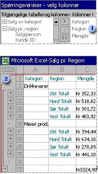 Med Microsoft Query kan du merke datakolonnene du vil bruke, og importere bare disse dataene til Microsoft Excel.