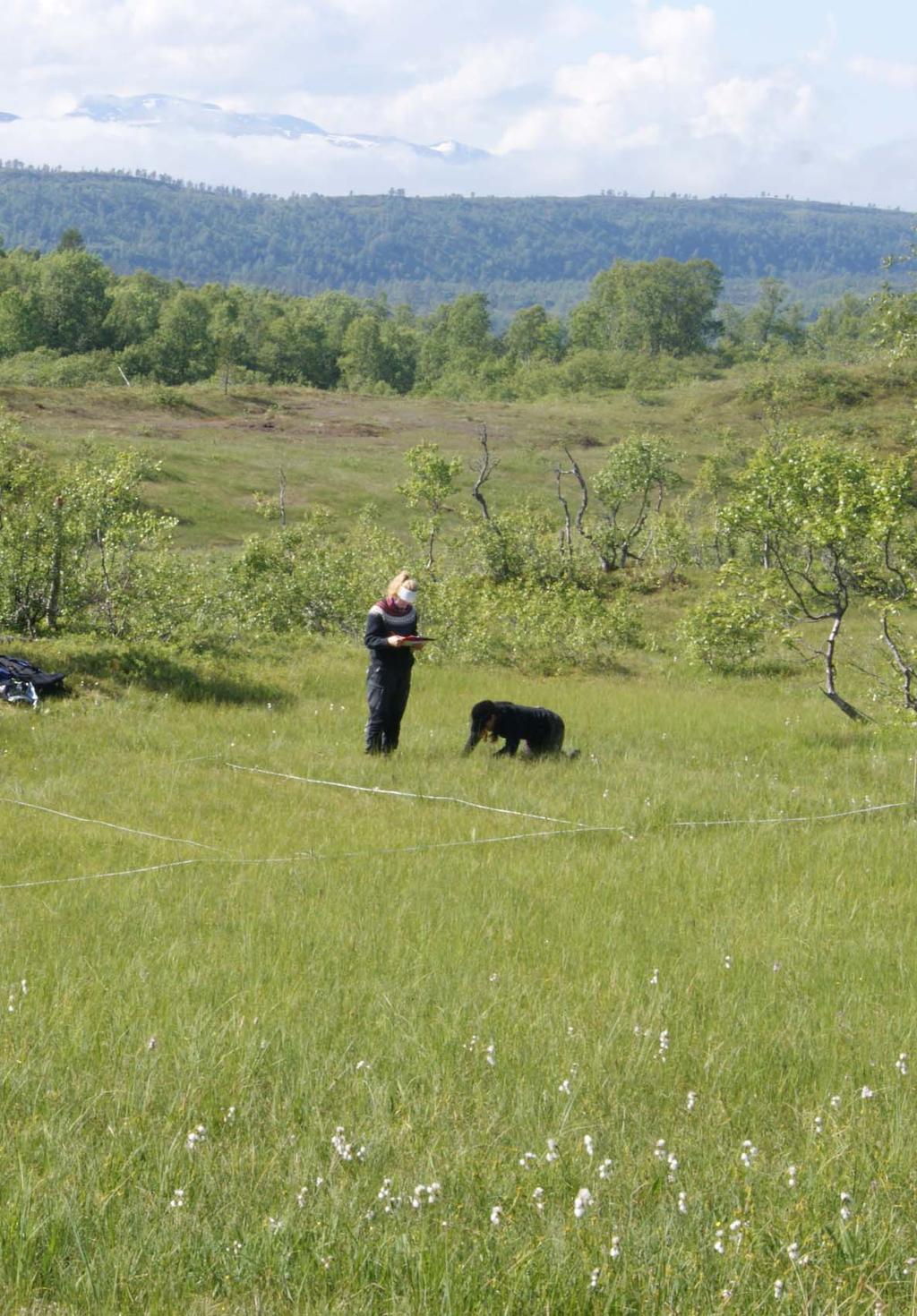 og Tågdalen naturreservat