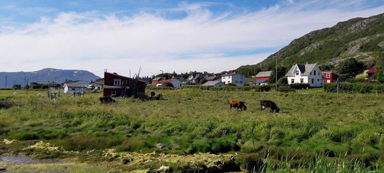 For Finnmark er det en nesten like stor andel som har 6-1 km kjørevei som det er som har 1-5 km som lengste kjørevei til leid jord. Det er også en del som må kjøre betydelige avstander.