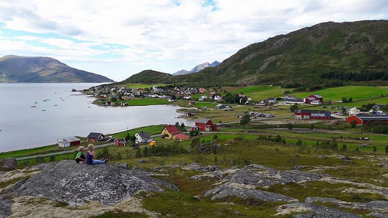 Investering i eid jord og leid jord I Troms planlegger halvparten av gårdbrukerne å investere i grøftesystem/drenering på eget areal de neste fem år, men bare 19 prosent planlegger det samme på leid