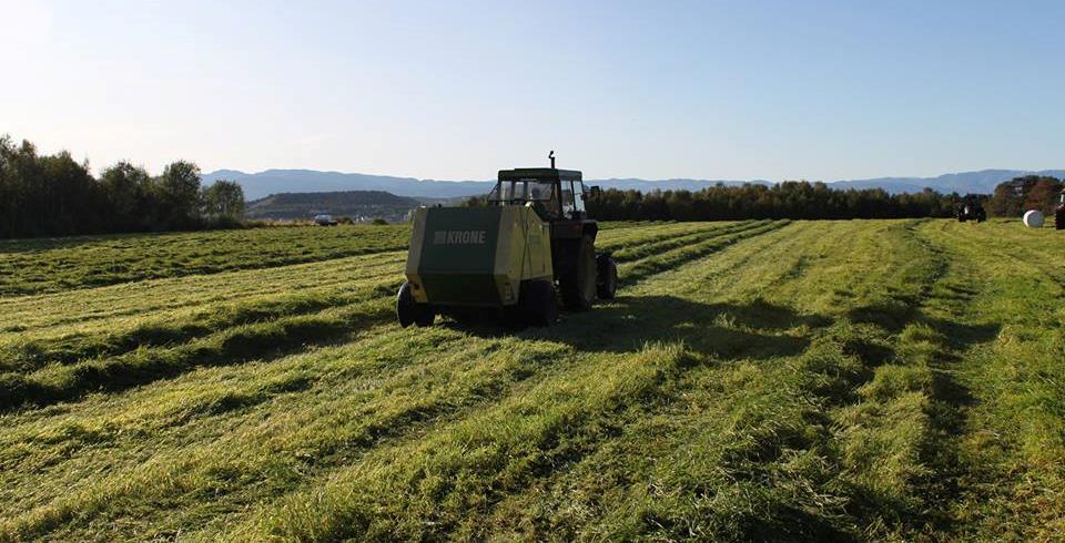 Prosent De mest utbredte bygdenæringene Vi har sett litt nærmere på de bygdenæringene som er mest utbredt i Troms og Finnmark.