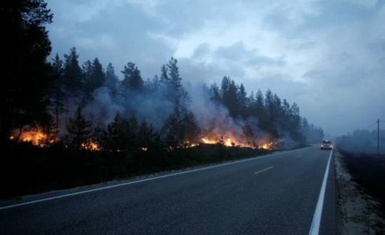 OMORGANISERING AV RODEMANNSKAPER Brannvesenet i Norge har i mange år hatt et nært samarbeid med skogeiere under skog- og utmarksbranner.
