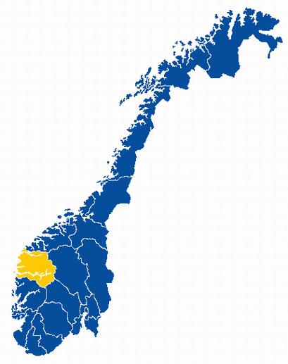 GERIATRISK KARDIOLOGI VED FØRDE