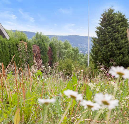 EGGE/LIER Eikseterveien 20, 3404 LIER Landlig beliggende boligtomt med gode