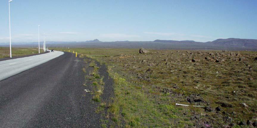 Frá Strandarheiðinni miðri verða grös meira áberandi í bland við mosa og smárunna 4. Sjálfvirk veðurathugunarstöð er á Strandarheiði og á vestanverðu svæðinu sést til byggðar í Vogum.